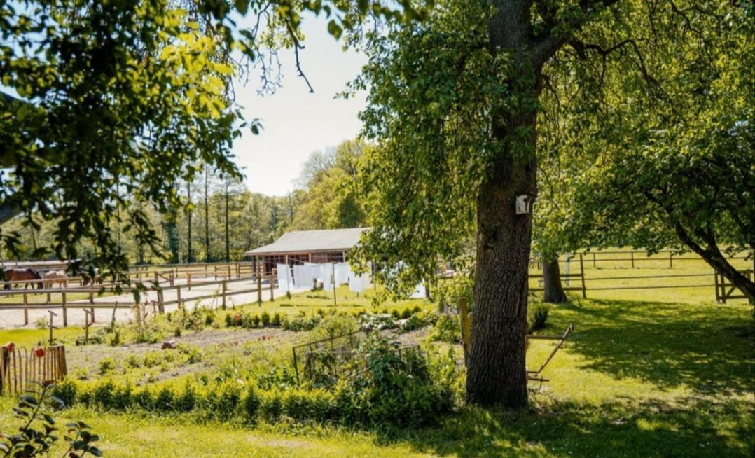 Ferienhof Trapp Ellringen Экстерьер фото